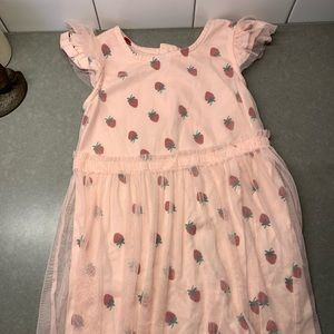 Hanna Andersson Size 5 tulle strawberry dress